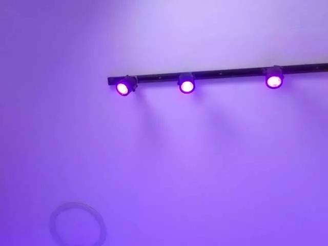 BongaCams MaiaWatson MaiaWatson from BongaCams