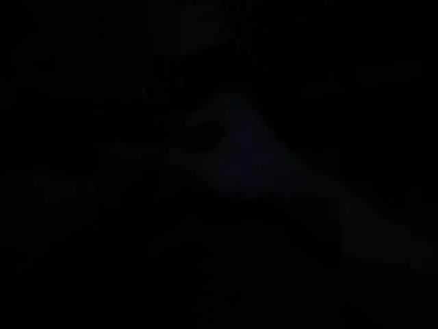 PartyBun on BongaCams 