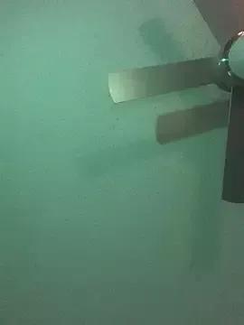 Check out Triggerhappycj100, they want to masturbate for you Triggerhappycj100 from StripChat